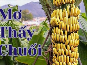 Nhà cái kimsa giải mã giấc mơ thấy cây chuối nên đánh con gì?