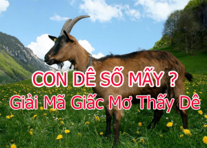 Kimsa giải mã giấc mơ thấy dê nên đánh con gì? có ý nghĩa gì?