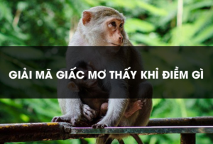 Kimsa88 giải mã giấc mơ thấy khỉ nên đánh con gì?