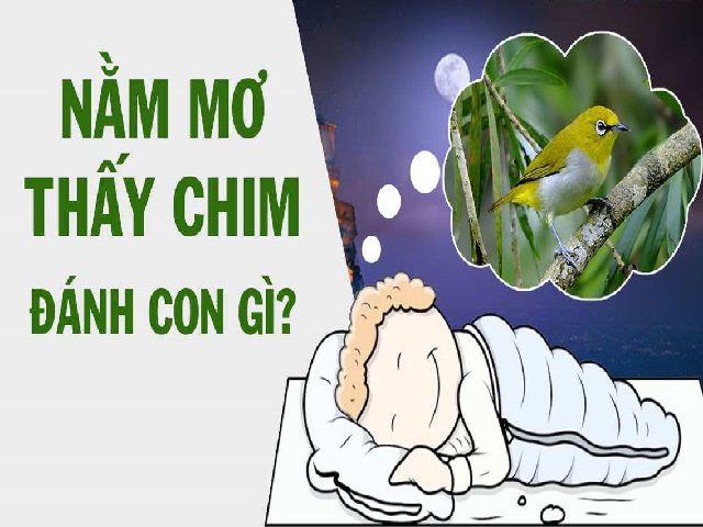 Kimsa giải mã giấc mơ thấy con chim nên đánh con gì?